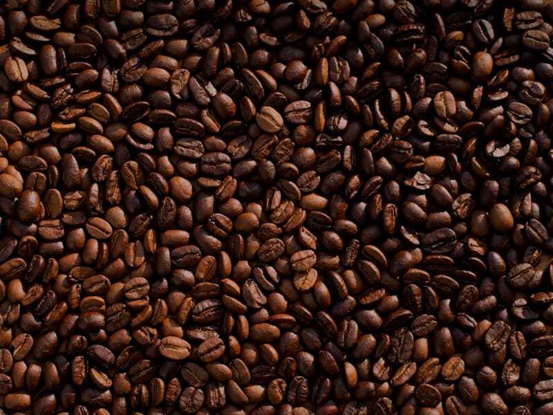 CoffeeBloom
